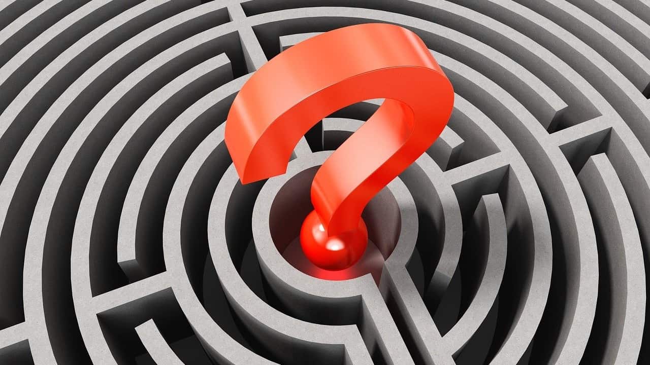 Should Food Stamps For Pet Food Be a Thing?